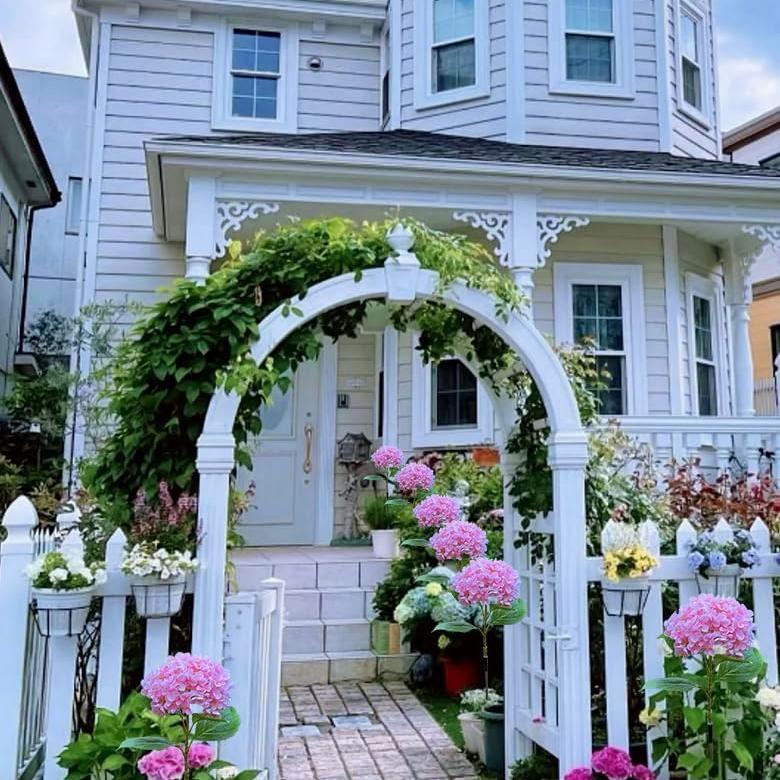 🔥Hot Sale-59% OFF🔥Outdoor Solar Hydrangea Flower Lights