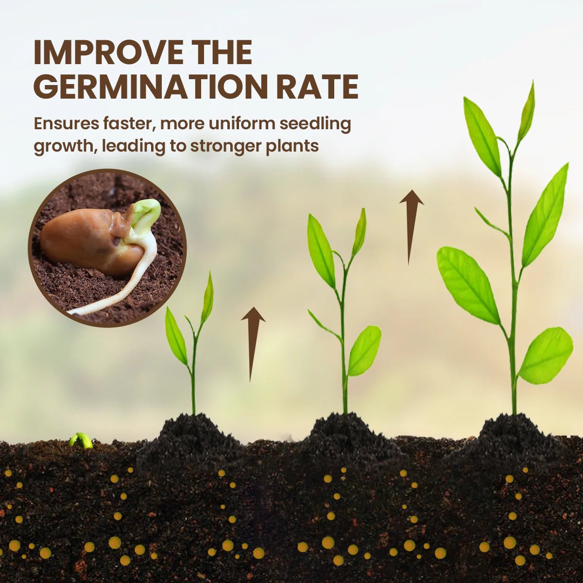 🔥Summer promotion🔥-Soil Pro Activator