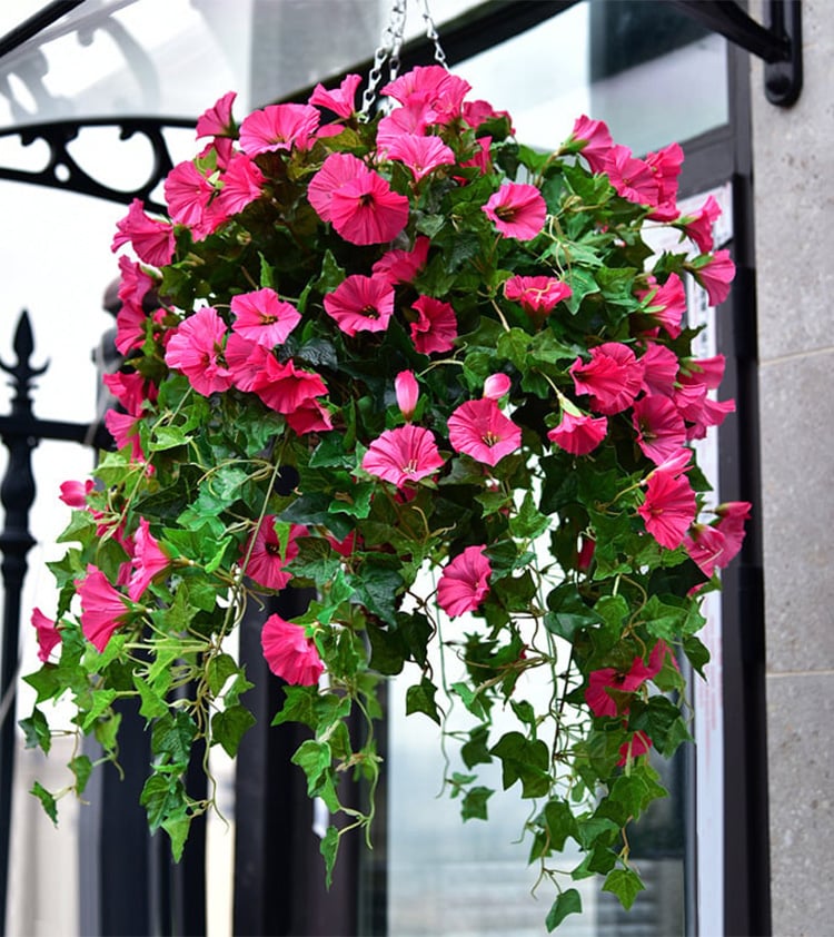 💐2025 Hot Sale✨UV Simulation Artificial morning glory