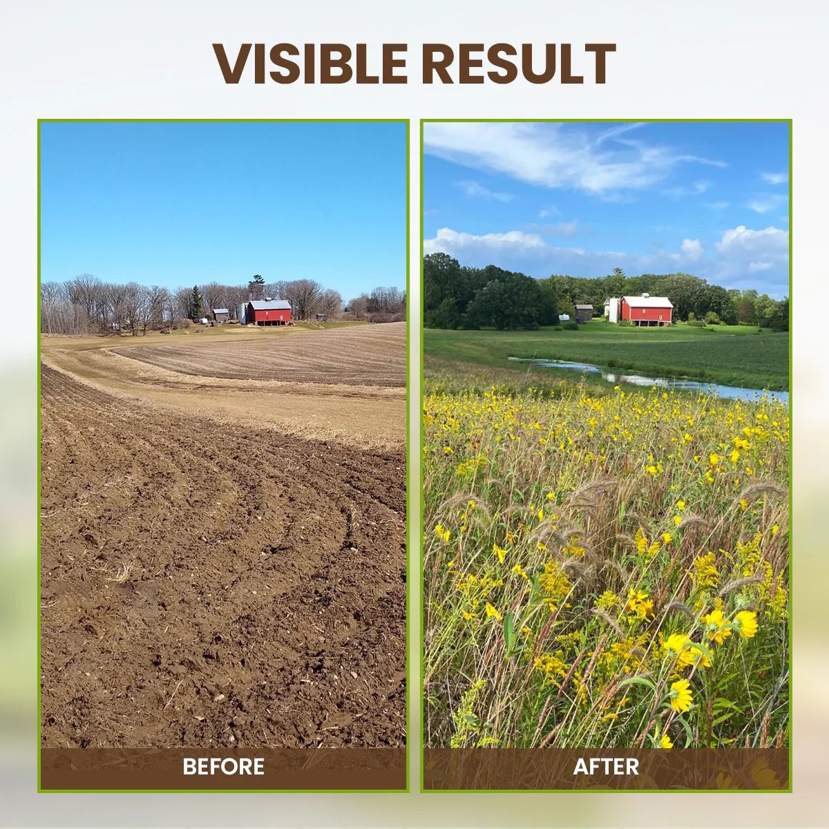 🔥Summer promotion🔥-Soil Pro Activator