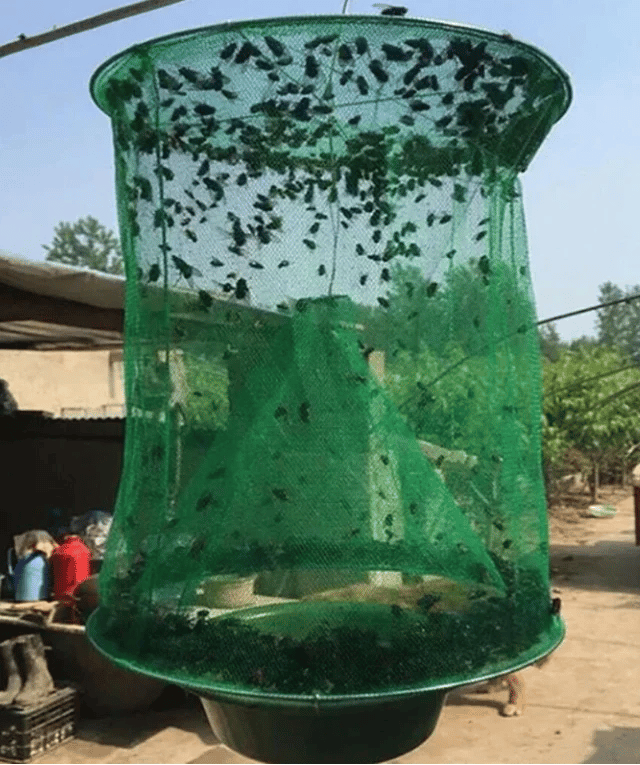 🔥Summer Sale-Fast  Fly Catcher- 100% Non Toxic- Reusable