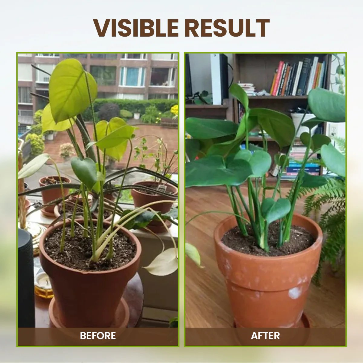 🔥Summer promotion🔥-Soil Pro Activator