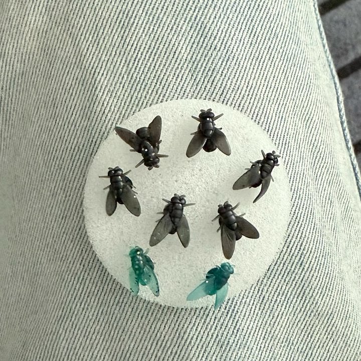 😜Realistic Mini Black Fly Earrings – The Ultimate Halloween Surprise!🎃