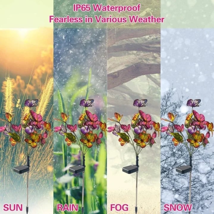 💥Hot Sale 🔥Solar Outdoor Butterfly Lights🦋
