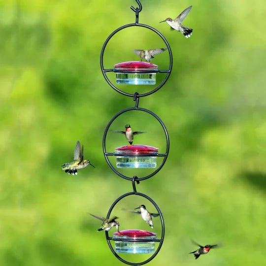 🎉Slim Hummingbird Feeder🐦