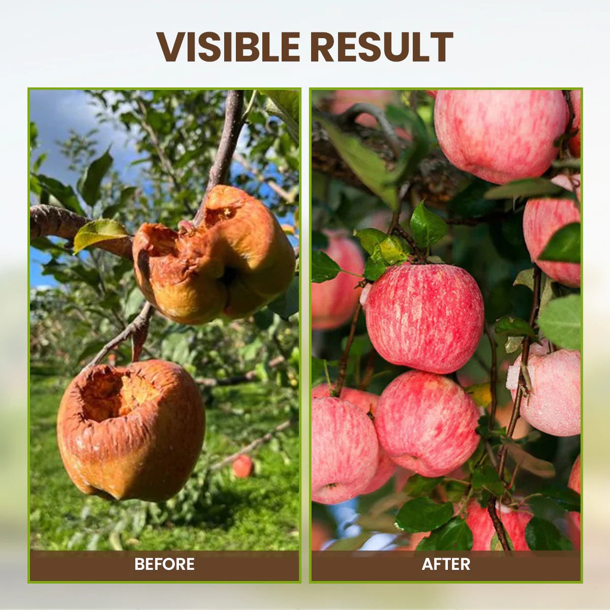 🔥Summer promotion🔥-Soil Pro Activator