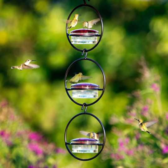 🎉Slim Hummingbird Feeder🐦