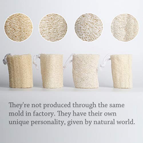 🌿Natural Loofah Sponge – Pure, Eco-Friendly & Multi-Purpose🌱