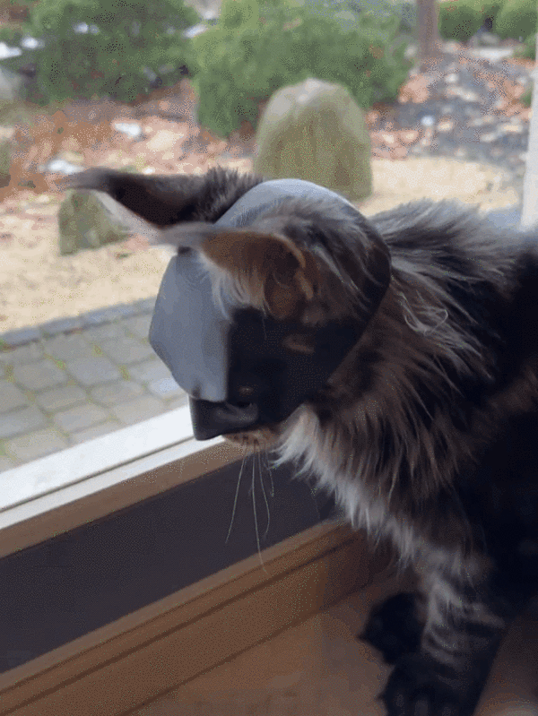 🔥Last Day 49% OFF - BatCat Mask