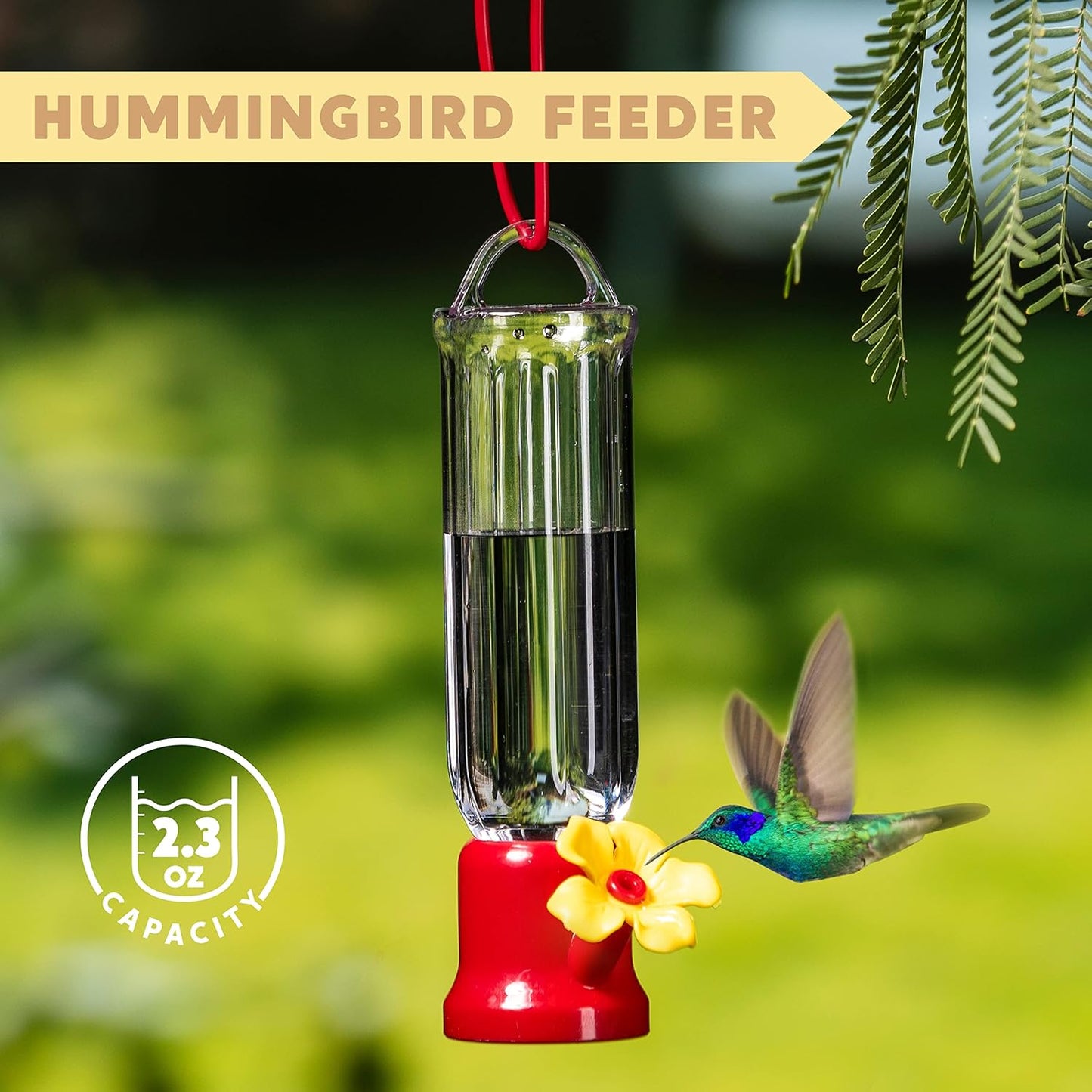 🐦✨Hummingbird Feeders for Outdoors Hanging❤️✨