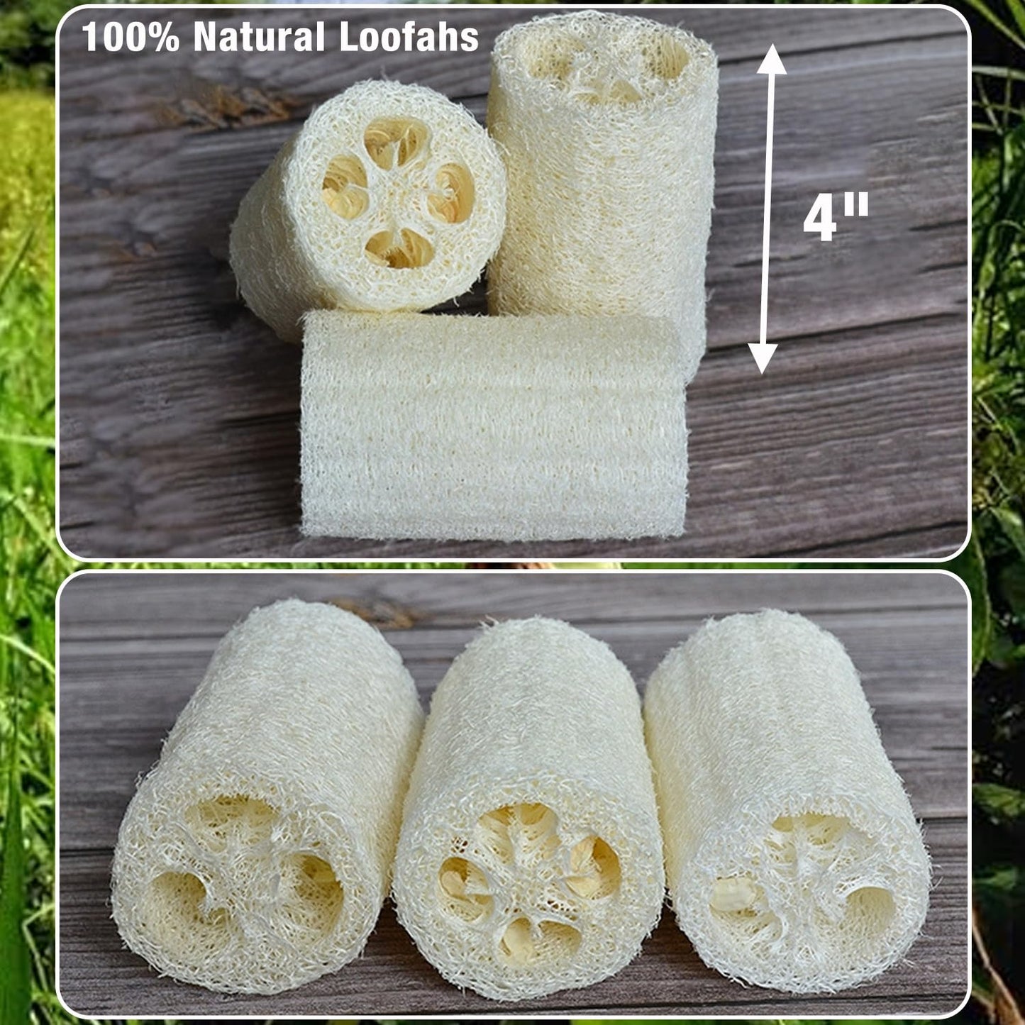 🌿Natural Loofah Sponge – Pure, Eco-Friendly & Multi-Purpose🌱