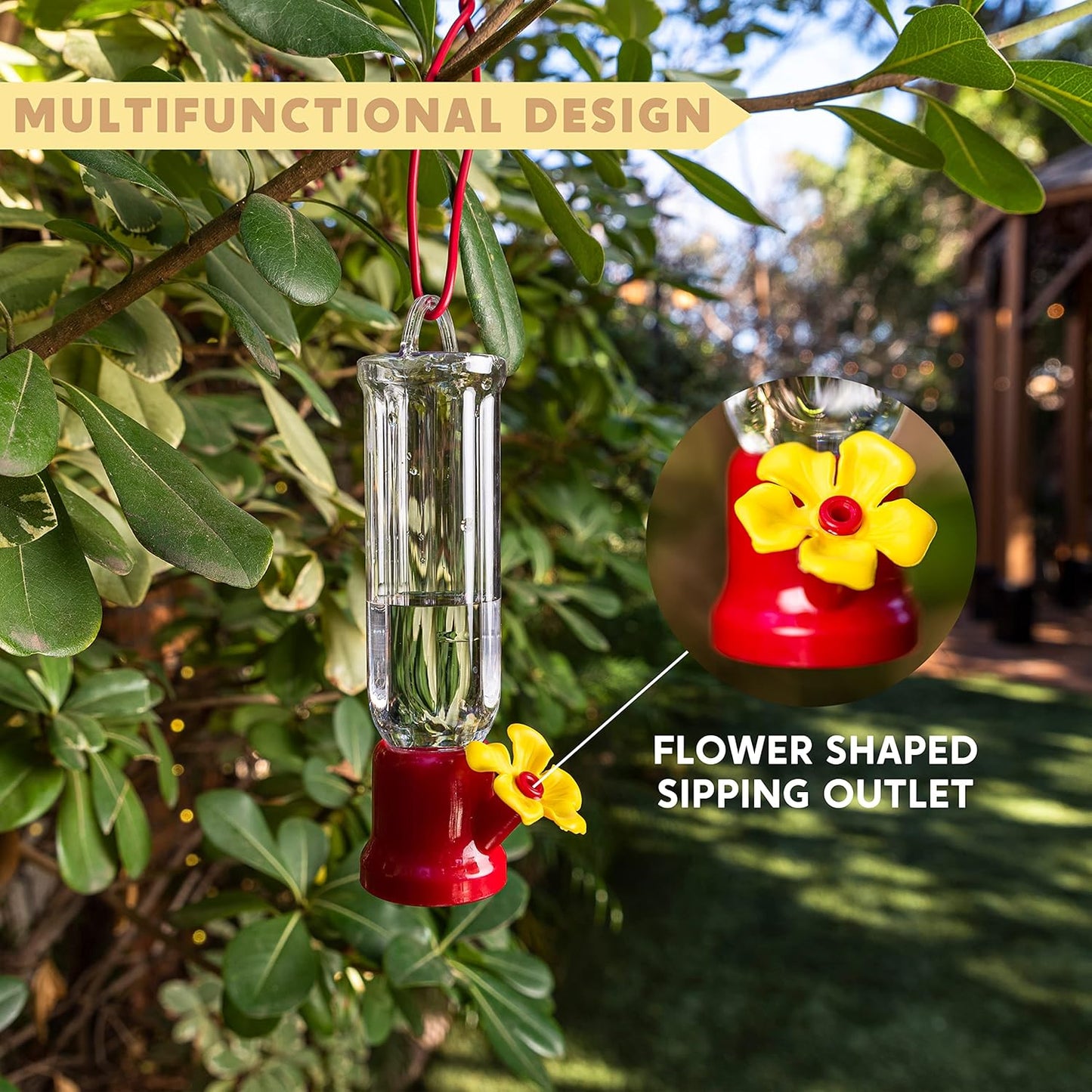 🐦✨Hummingbird Feeders for Outdoors Hanging❤️✨