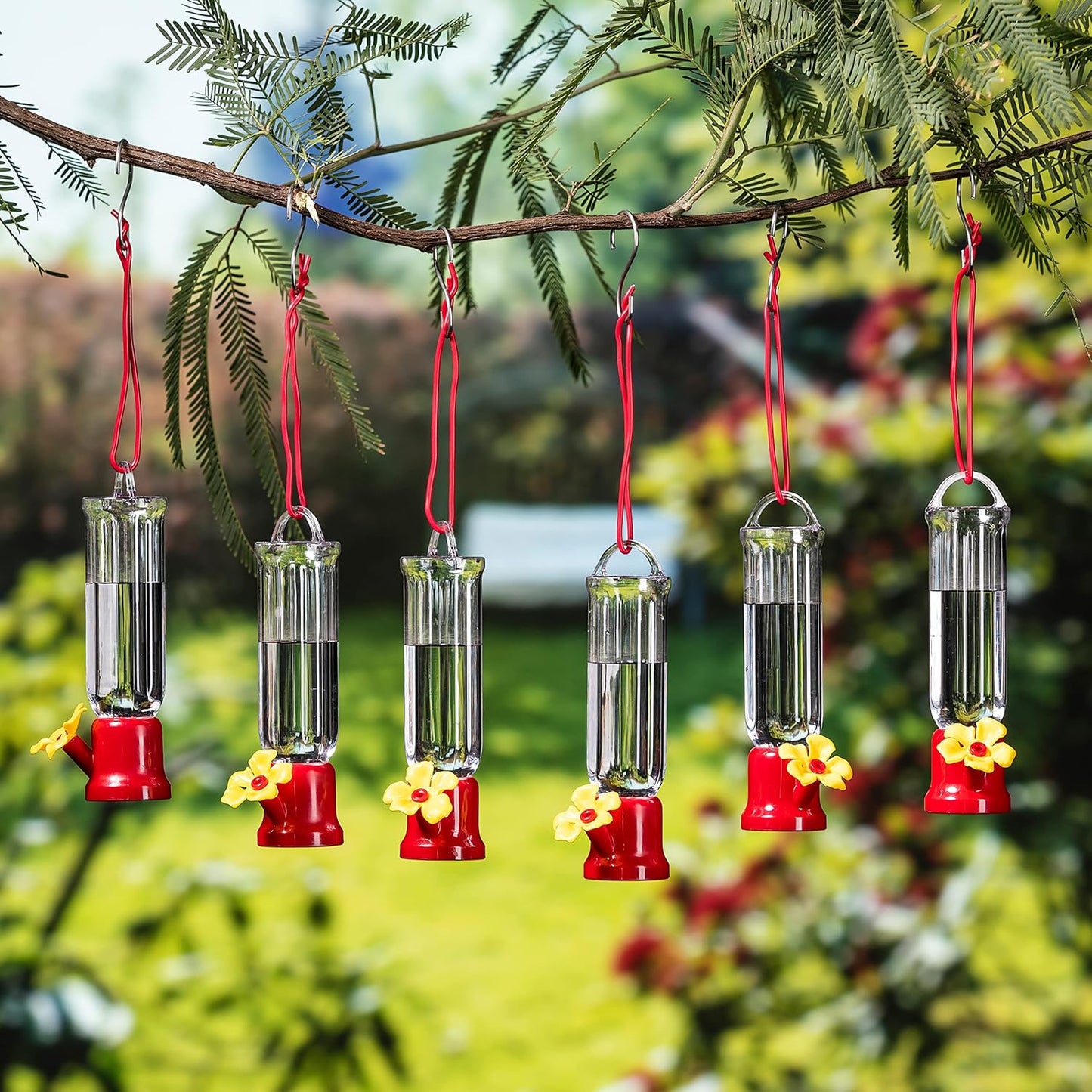 🐦✨Hummingbird Feeders for Outdoors Hanging❤️✨