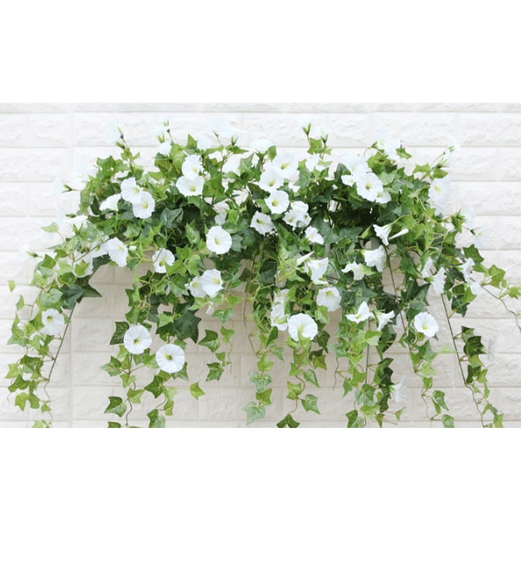 💐2025 Hot Sale✨UV Simulation Artificial morning glory