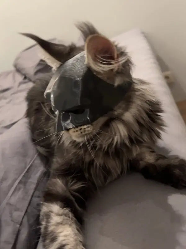 🔥Last Day 49% OFF - BatCat Mask