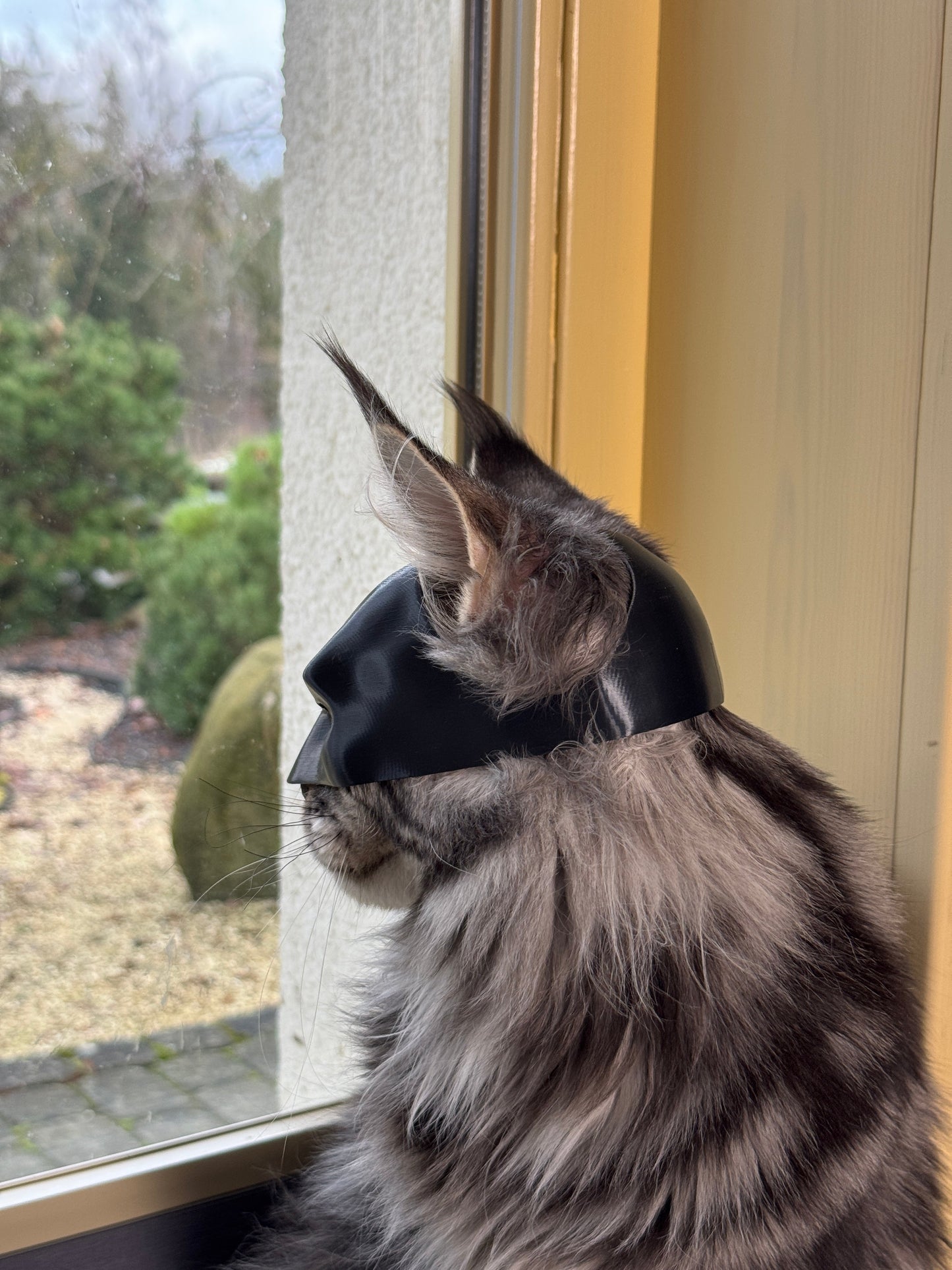 🔥Last Day 49% OFF - BatCat Mask