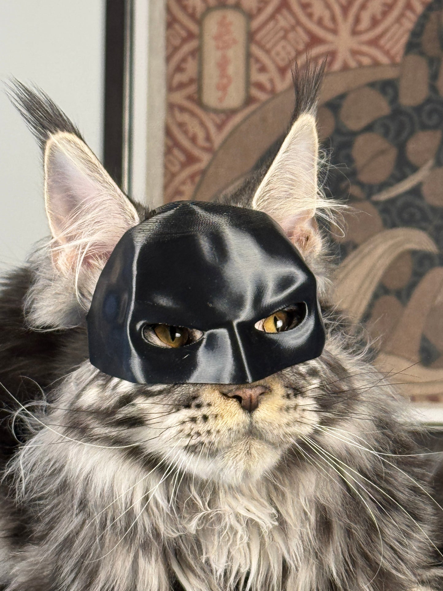 🔥Last Day 49% OFF - BatCat Mask
