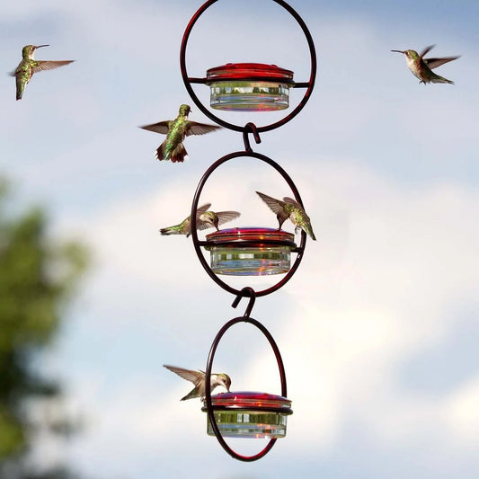 🎉Slim Hummingbird Feeder🐦