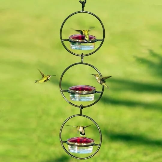 🎉Slim Hummingbird Feeder🐦