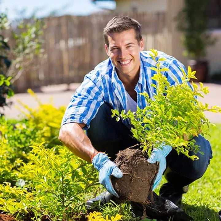 🔥Summer promotion🔥-Soil Pro Activator