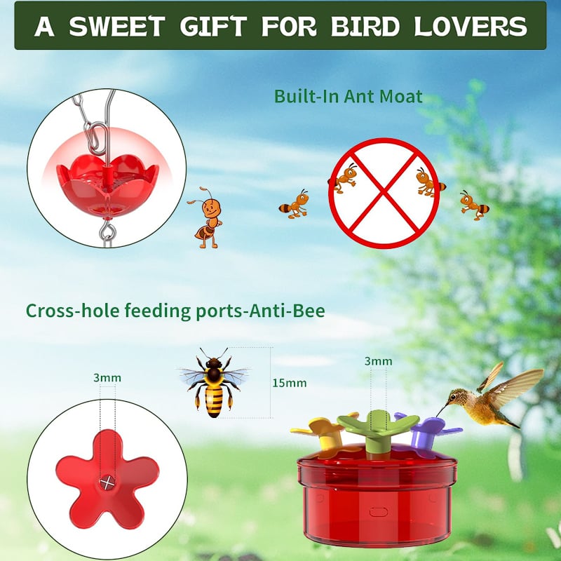 💖Hot sale ✨Hummingbird Feeder