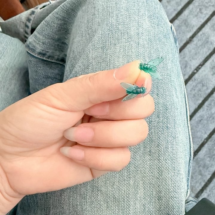 😜Realistic Mini Black Fly Earrings – The Ultimate Halloween Surprise!🎃