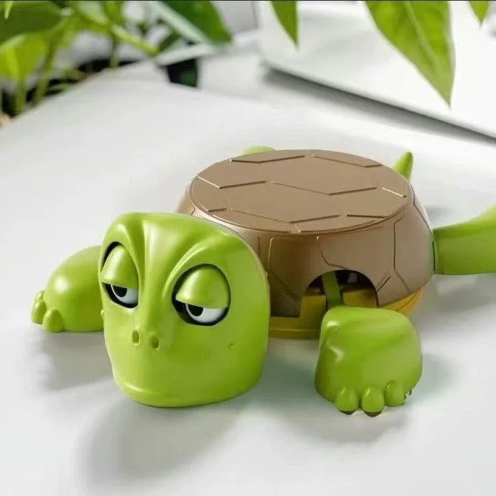 🔥Hot Sale🔥Wacky Turtle Coaster🐢✨